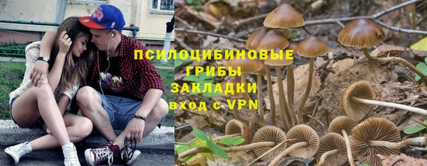 а пвп мука Алексин