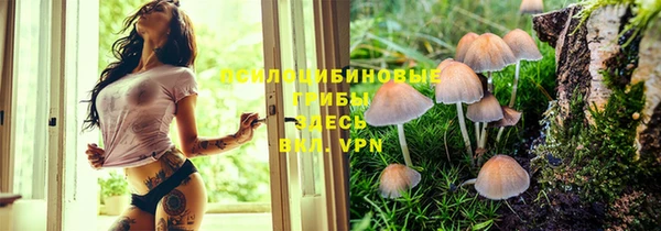 а пвп мука Алексин